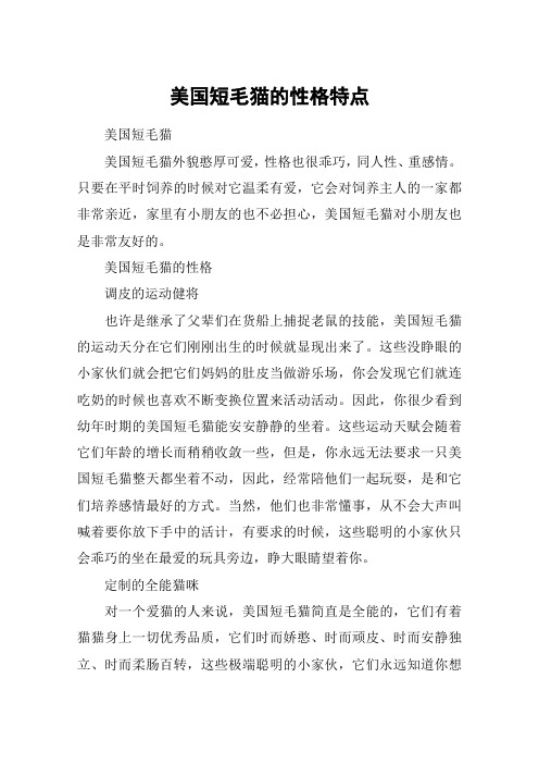 美国短毛猫的性格特点