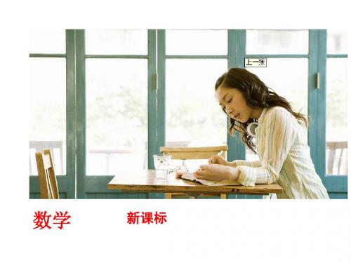 2014年中考复习数学新课标(BS)最新复习方案---第4部分(综合与实践)