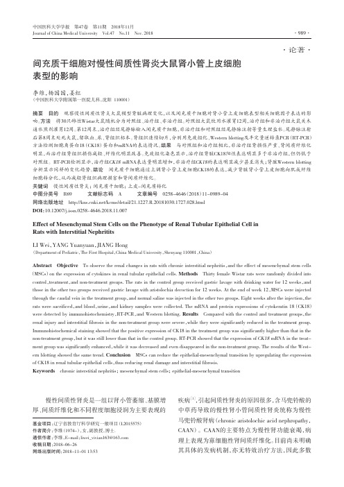 间充质干细胞对慢性间质性肾炎大鼠肾小管上皮细胞表型的影响