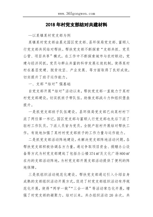 2018年村党支部结对共建材料