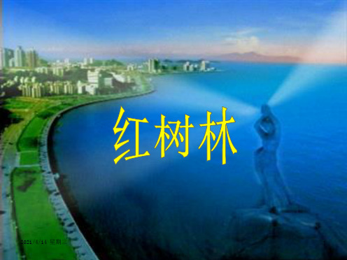 (北师大版)五年级语文课件_红树林
