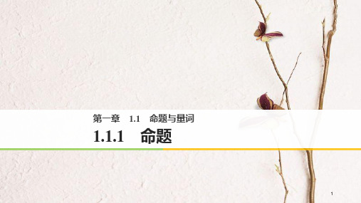 版高中数学 第一章 常用逻辑用语 1.1.1 命题课件 新人教B版选修2-1.pptx
