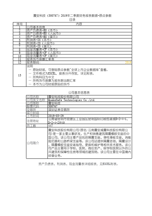 震安科技(300767)2019年二季度财务报表数据-原点参数