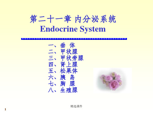 系统解剖学内分泌(1)