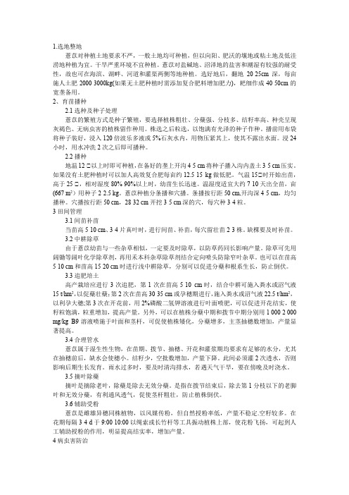 薏苡仁种植标准