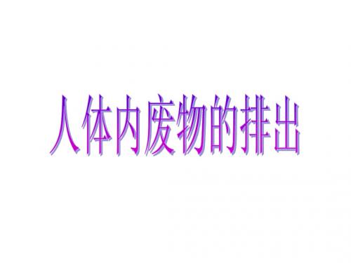 17人体的排泄