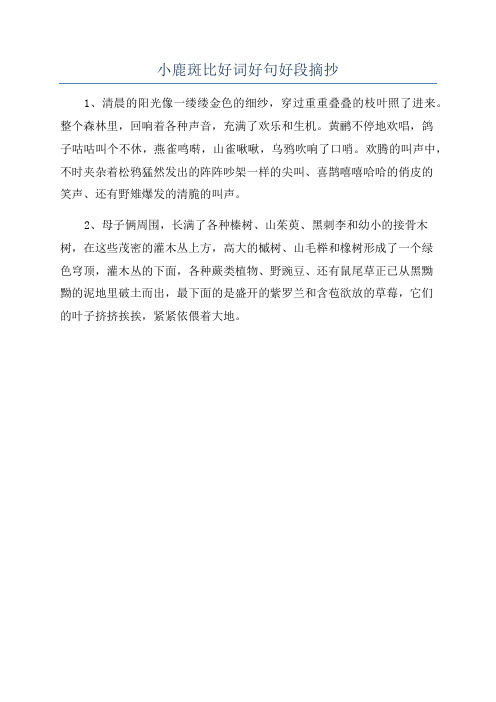 小鹿斑比好词好句好段摘抄