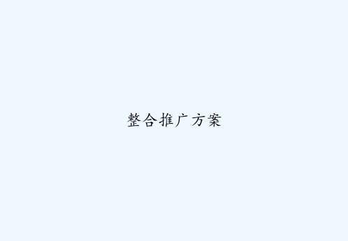 整合推广方案 PPT