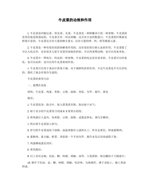 牛皮菜的功效和作用