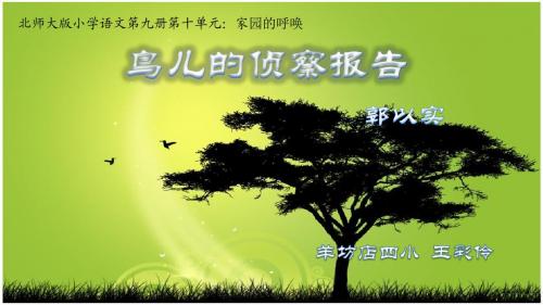 北师大版五年级语文上册《鸟儿的侦查报告》公开课课件.ppt