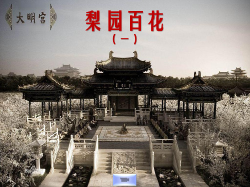 梨园百花课件