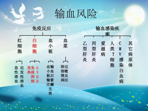 去白细胞滤器血袋全血型课件