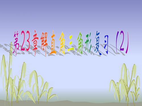 第23章 解直角三角形复习(2)