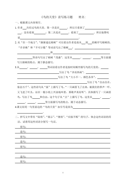 《鸟的天堂》读写练习题及答案
