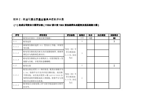 标准化建设质量监督具体项目评分表