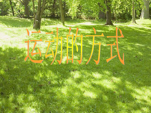 四年级下 运动的方式苏教版ppt (共19页)