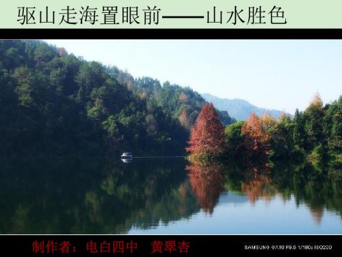 高三语文驱山走海置眼前 -----山形水胜课件
