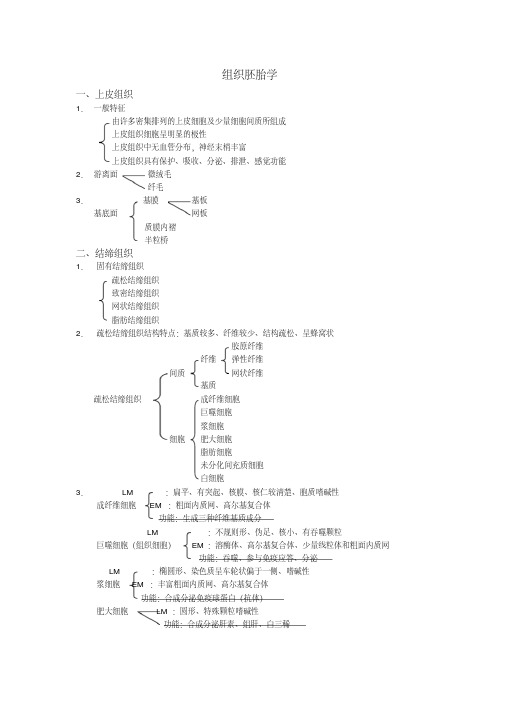 组织胚胎学2