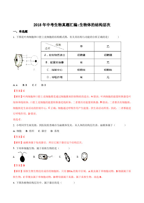 2018年全国各地中考生物真题汇编：生物体的结构层次(解析版)