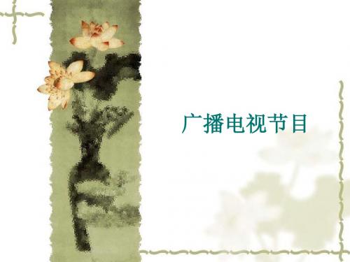 电视节目及其构成要素