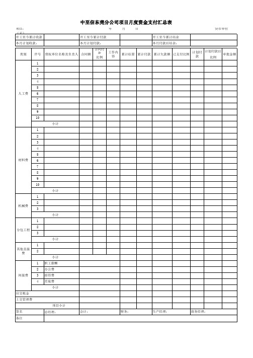 月度资金支付汇总表