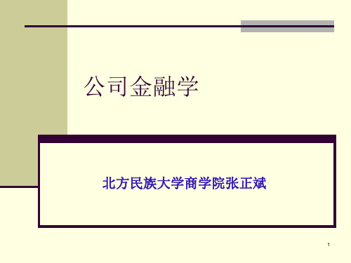 chapter 1 公司金融概论