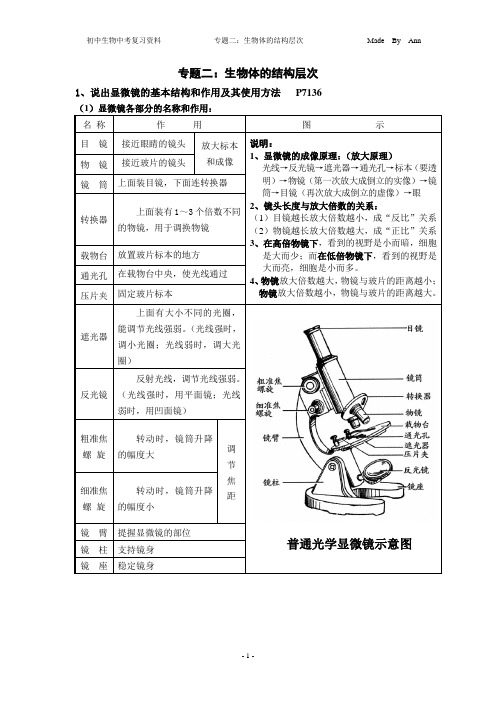 02专题二：生物体的结构层次