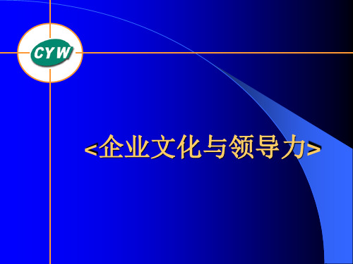 企业文化与领导力PPT课件