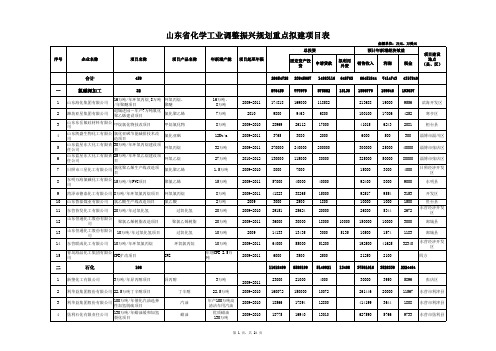 山东省化学工业调整振兴规划重点在建项目表
