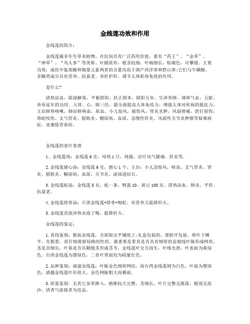 金线莲功效和作用