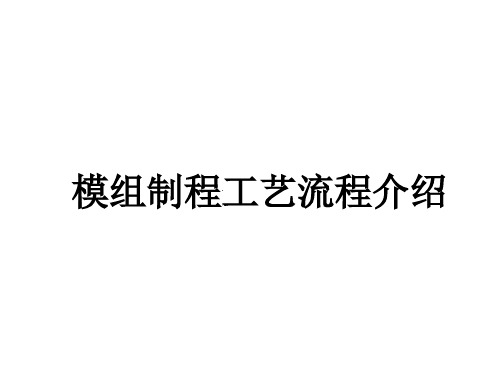 模组生产工序说明(终稿)