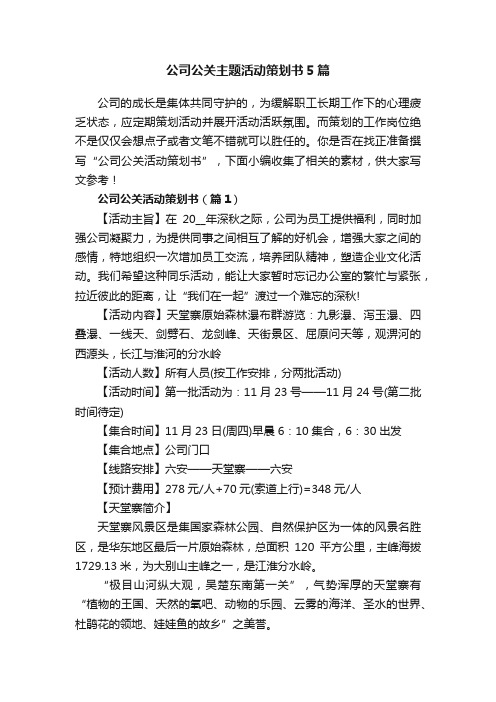 公司公关主题活动策划书5篇