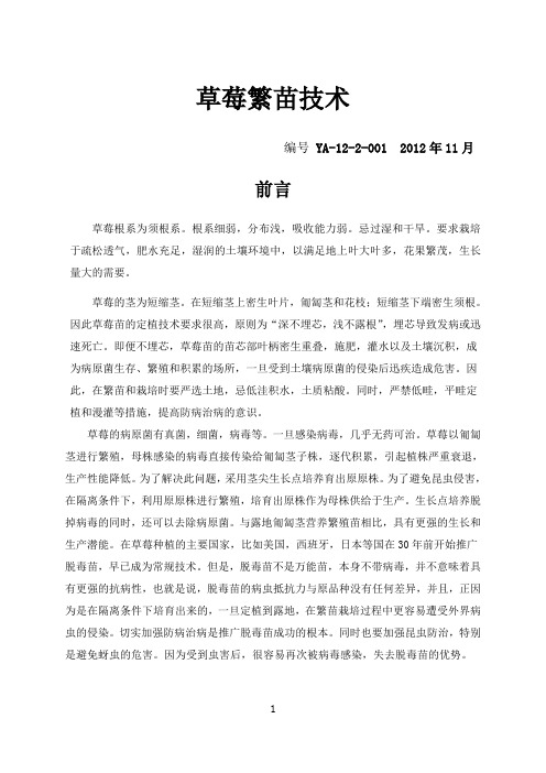 草莓繁殖技术