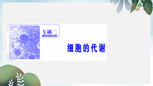 高考生物二轮复习第一部分专题二细胞的代谢第一讲酶与ATP课件新人教版