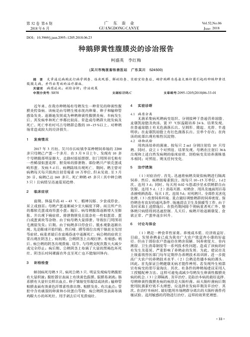 种鹅卵黄性腹膜炎的诊治报告