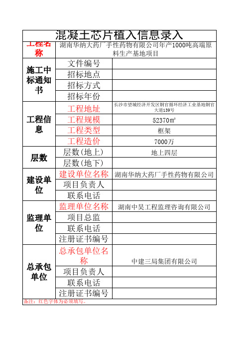 混凝土芯片植入信息录入表格 (望城华纳大项目)