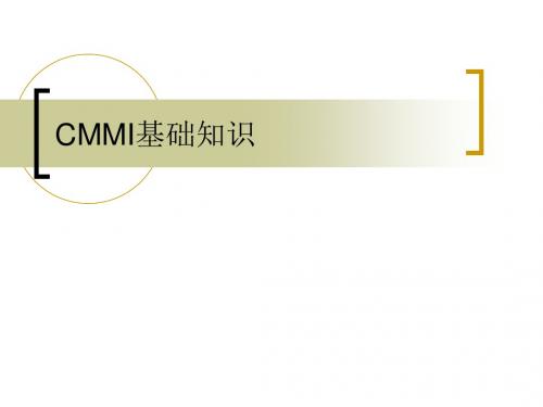 CMMI基础绍介