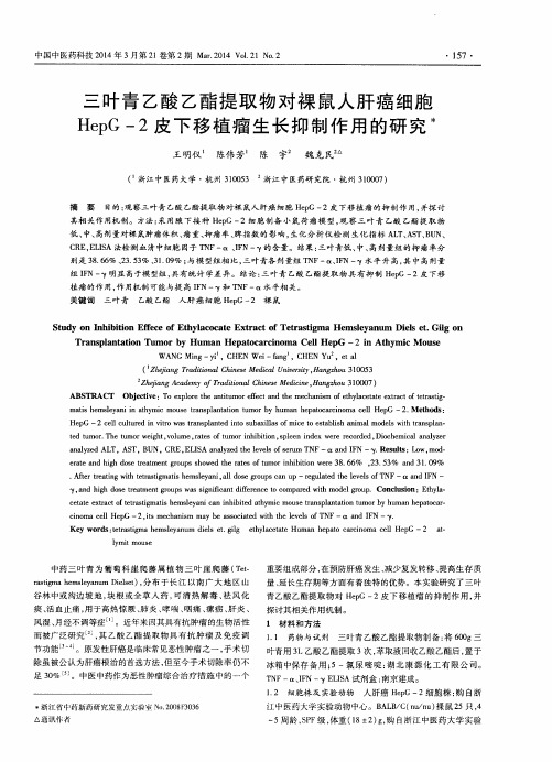三叶青乙酸乙酯提取物对裸鼠人肝癌细胞HepG-2皮下移植瘤生长抑制作用的研究