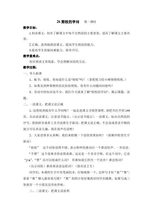 26、剪枝的学问