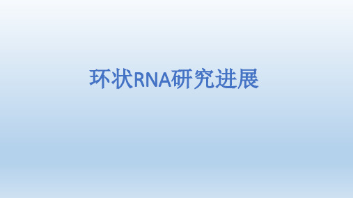 环状RNA研究进展(72页)