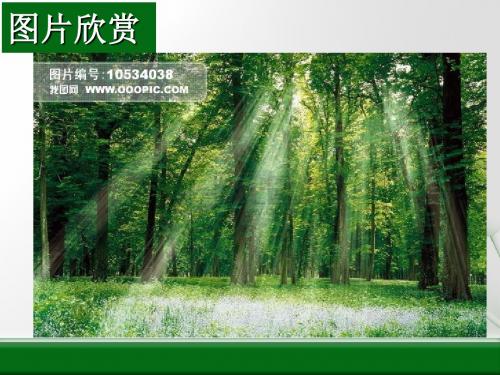 分散系