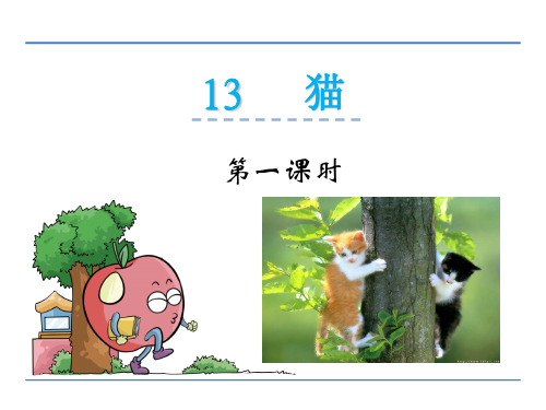 三年级下册语文课件-13猫_鲁教版 (共24张PPT)