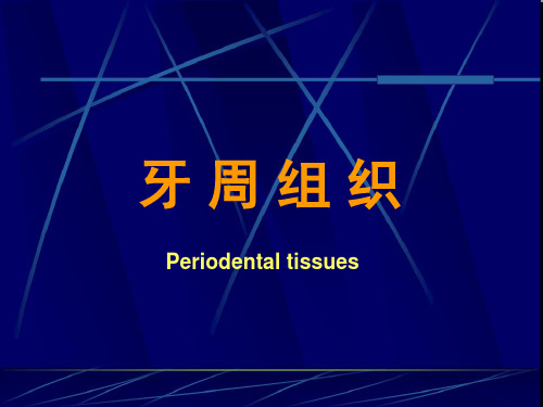 牙周组织(PPT48页)