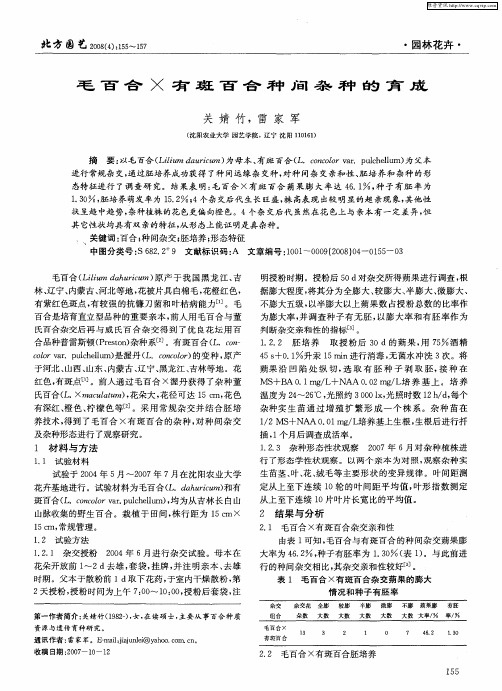 毛百合×有斑百合种间杂种的育成