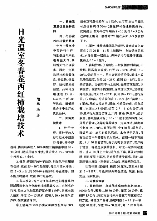 日光温室冬春茬西红柿栽培技术