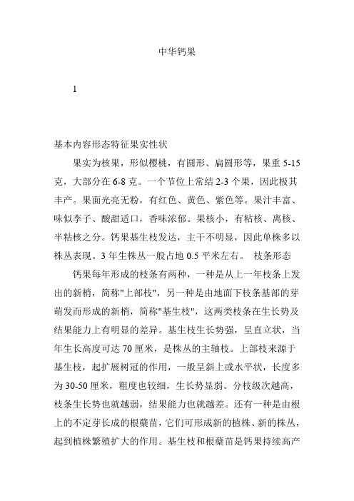 中华钙果