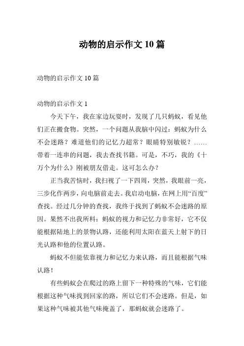 动物的启示作文10篇