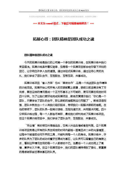 【精编范文】拓展心得：团队精神是团队成功之魂word版本 (1页)