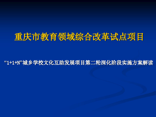 重庆市教育领域综合改革试点项目