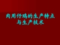 肉用仔鸡的生产特点与生产技术